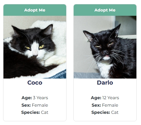 Longmont Humane Society